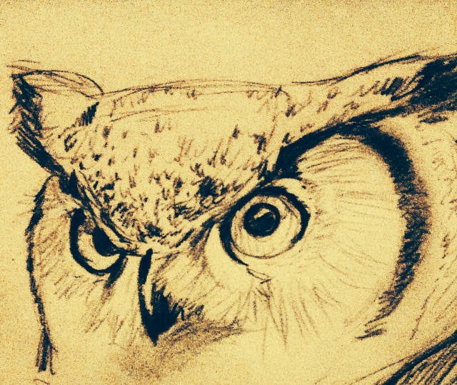 Owl