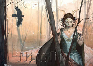 Raven-faery