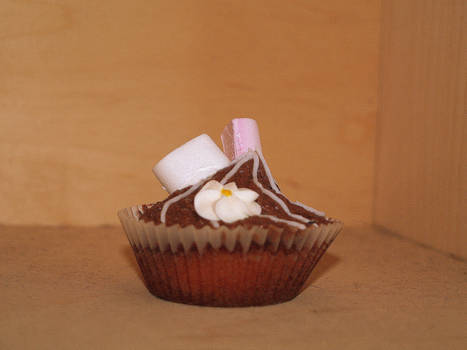 choc cupcake, 2