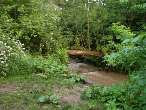 The 'Crick'