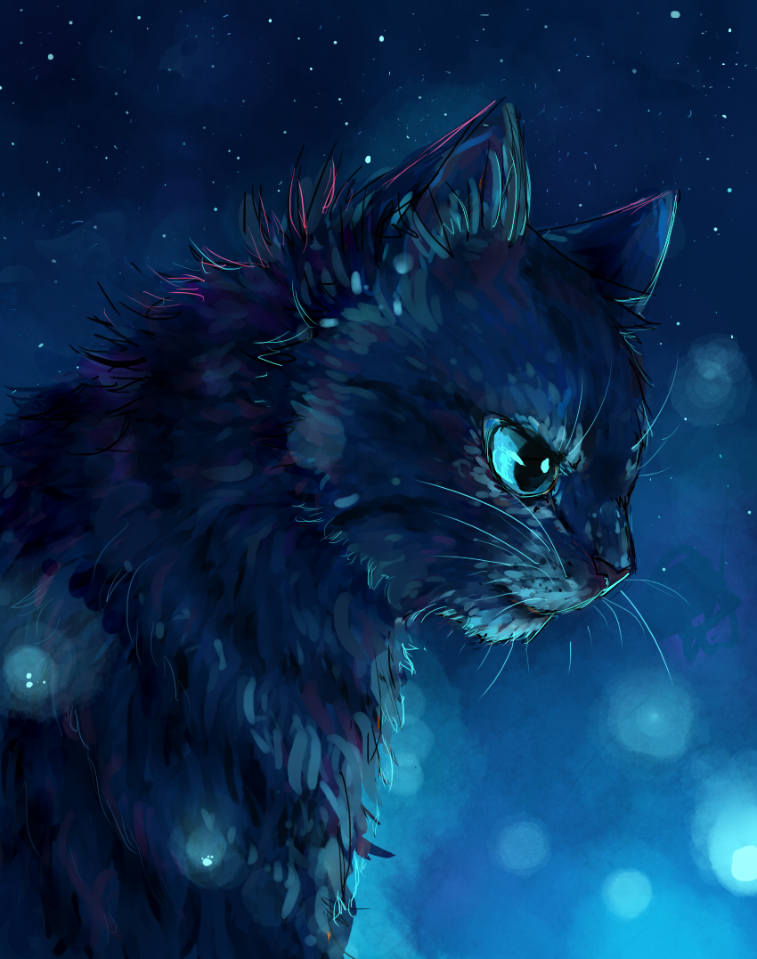 Bluestar by Muzli on deviantART  Warrior cats, Warrior cats art