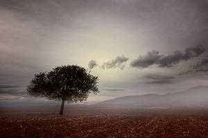 tree .. by apostolos-t