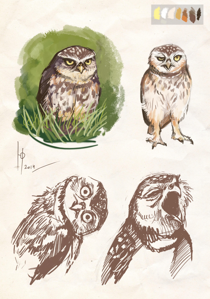 owls sketches 2