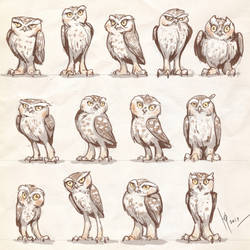 Owls characters