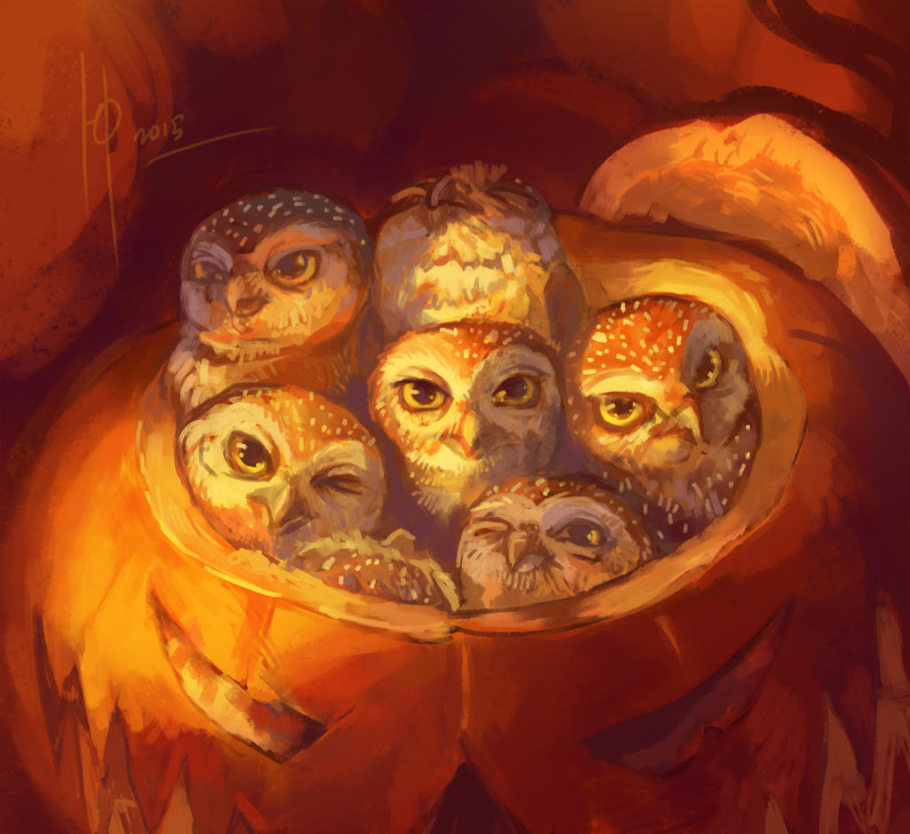 Owls in pumpkin