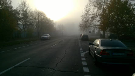 Morning fog