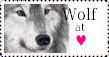Wolf at heart stamp