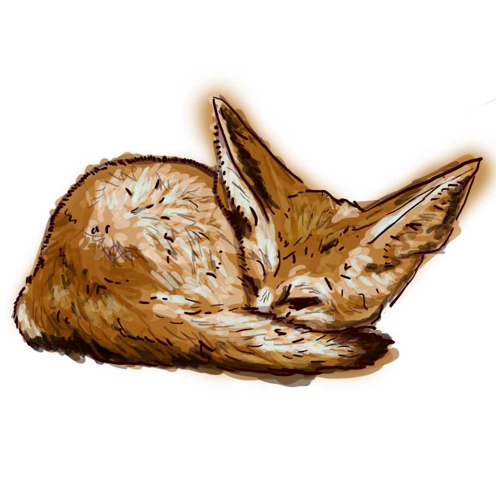 Fennec