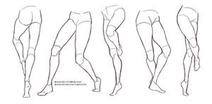 Legs reference