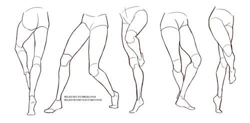 Legs reference