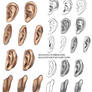 Ears reference