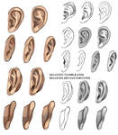 Ears reference by Sellenin
