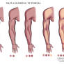 Skin coloring tutorial