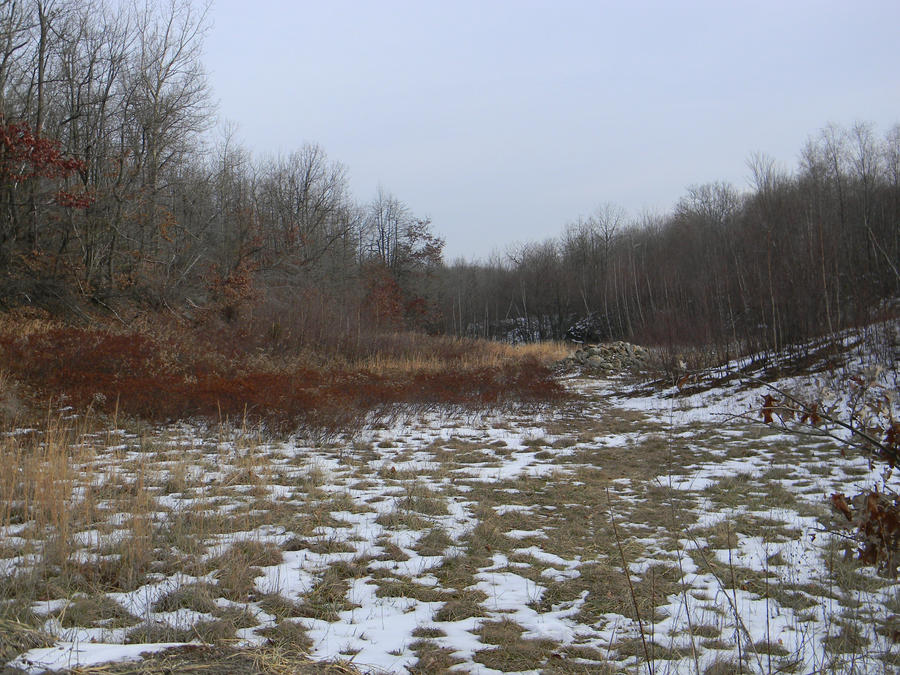 Feild Background Stock by Devils-Angel-21 on DeviantArt