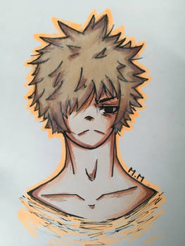 Bakugou :3