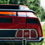 Mustang Mach 1