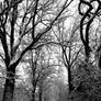 Forstenrieder Park, Munich