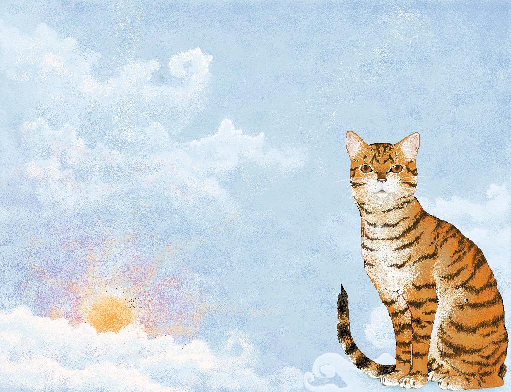 toyger sky