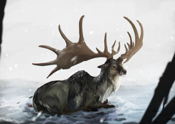 Megaloceros