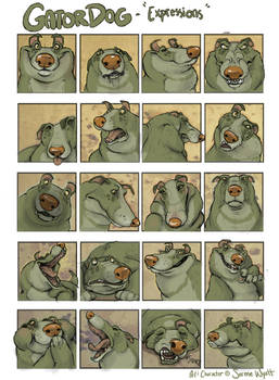 Gator expressions