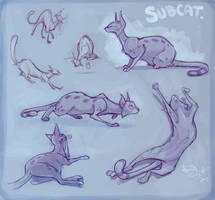 Subcat Sketchpage