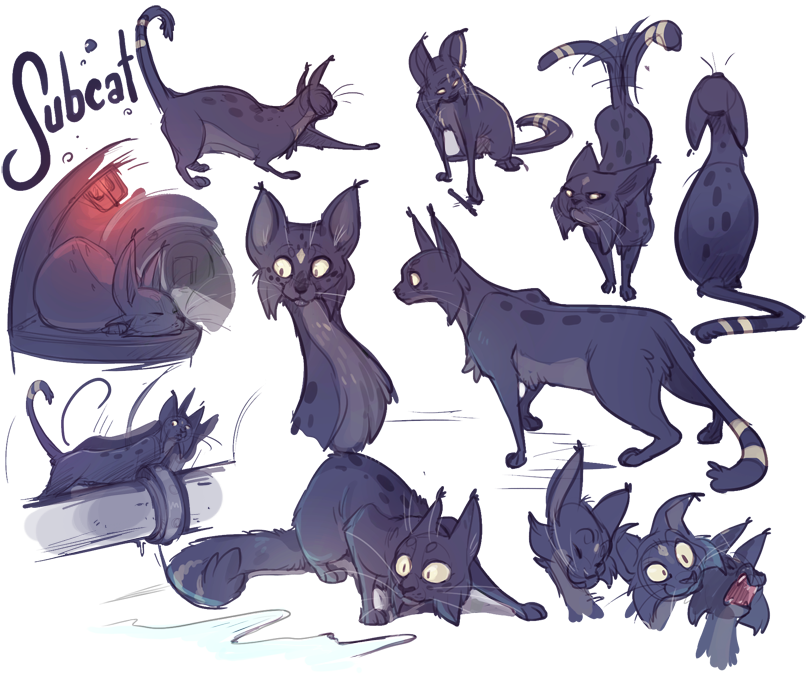 Subcat Sketchpage 2015