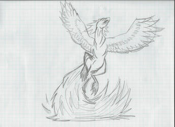 Griffin Sketch