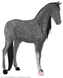 RP Horse