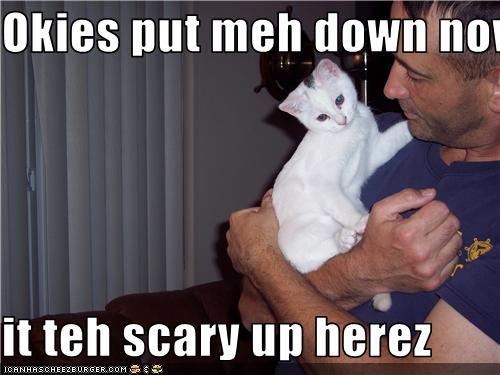 It teh scary up herez