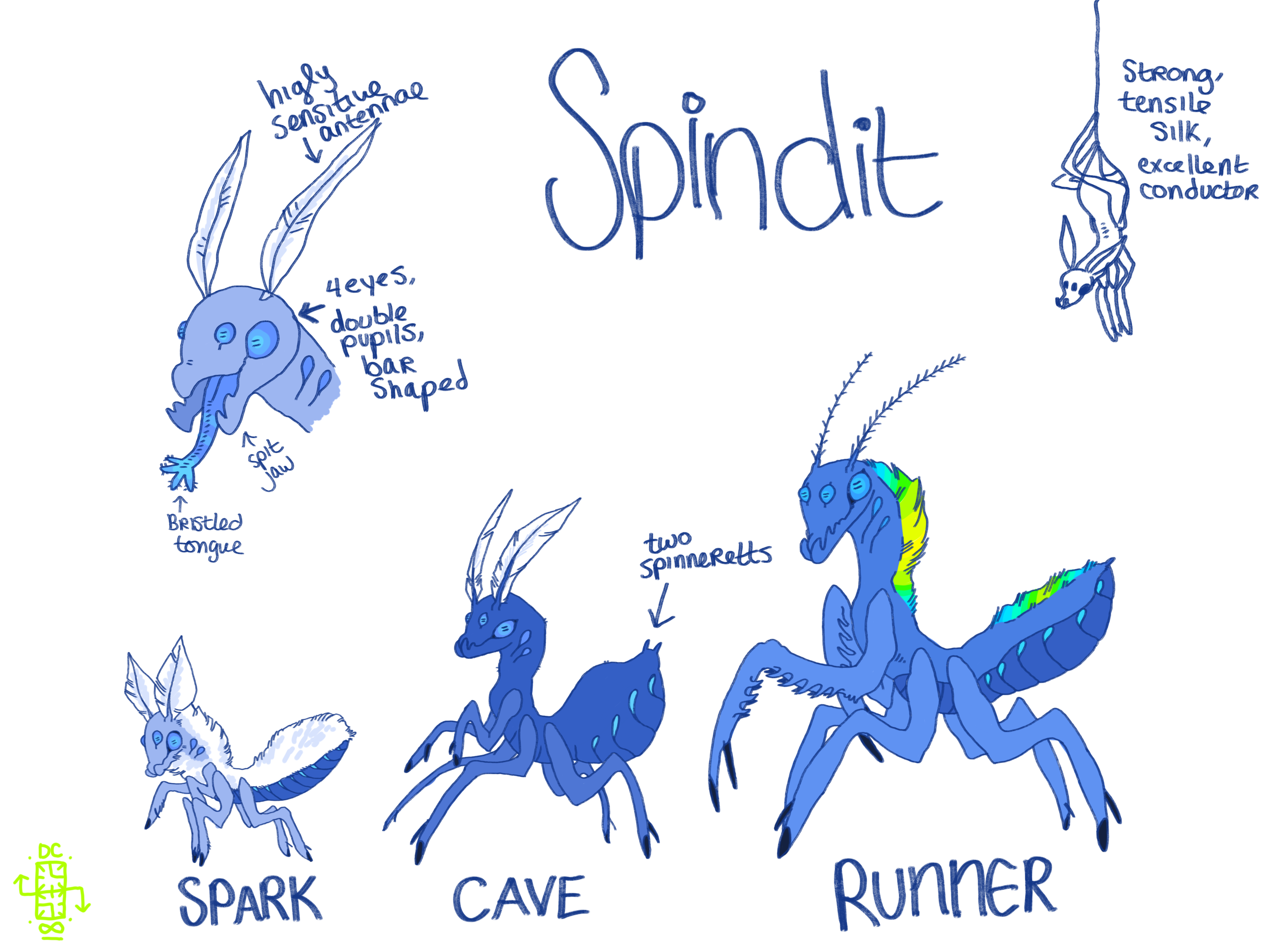 Spindit Basic Guide (SEMI-OPEN SPECIES!)