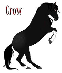 Crow