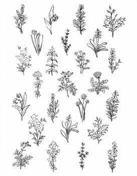 Inktober - 10 Pattern [Herbal Garden]