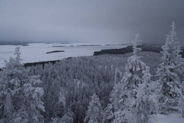 Koli in winter 2