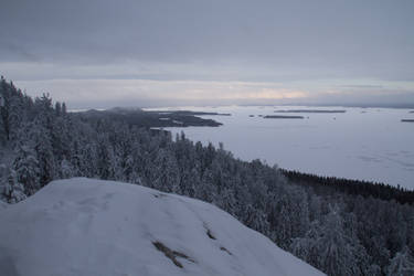 Koli in winter 3