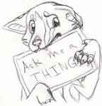 Ask me a thing
