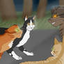 The new leader is Tigerclaw