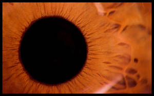 Close up of eye