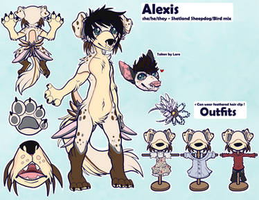 Alexis Reference Sheet