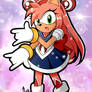 Amy Rose x Sailor Moon