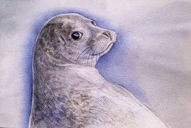 Seal