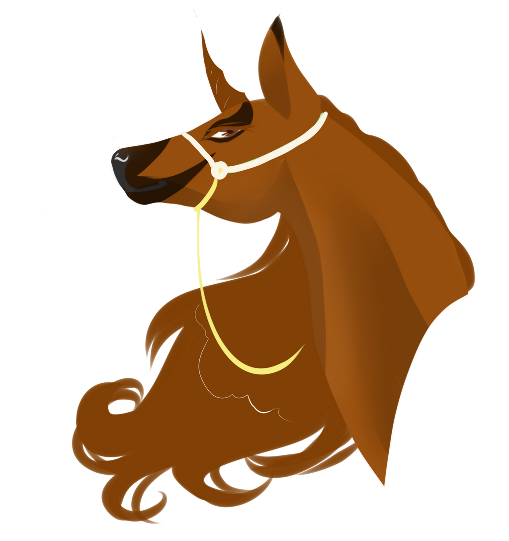 DNS Pumpkin Slice / Doe / HARPG
