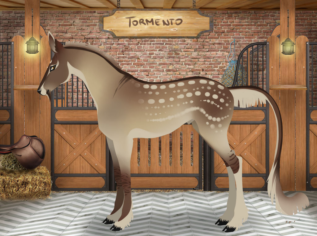 DNS Tormento /Stag /HARPG / ultimate champion