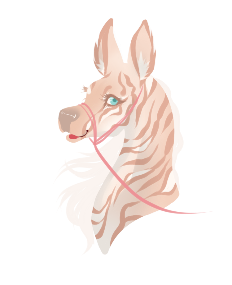 DNS Ice Cream / Doe / HARPG/ ultimate champion