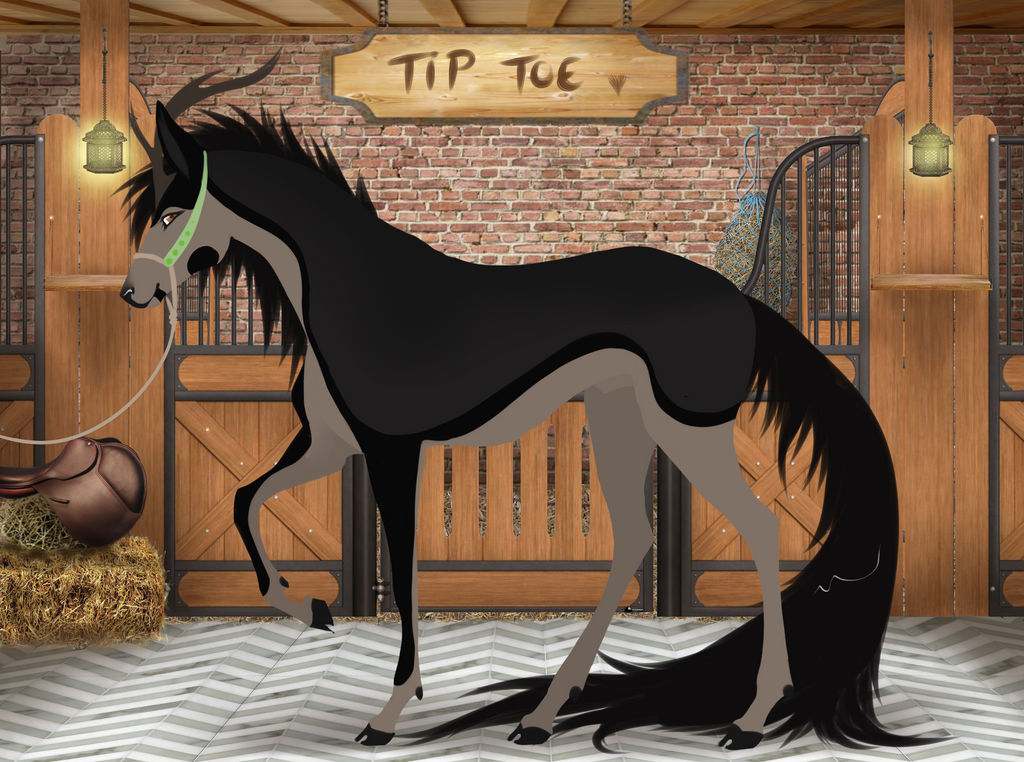 DNS Tip Toe | Harpg | male