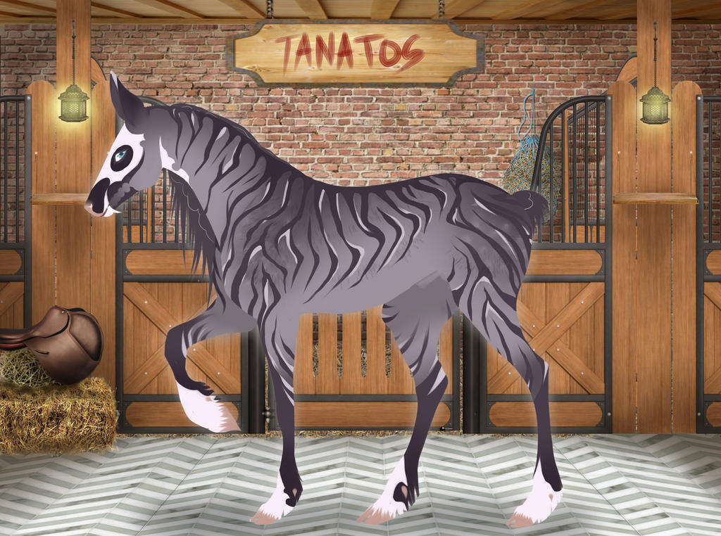 DNS Tanatos / Ultimate champion