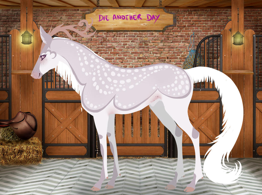 DNS Die Another Day / HARPG/ Stag / Novice