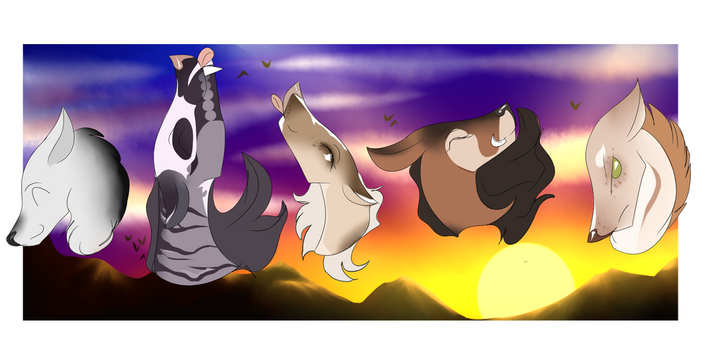 Sunset howling