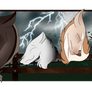 We don't like storms!
