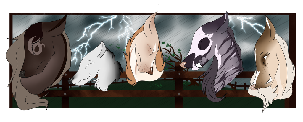 We don't like storms!