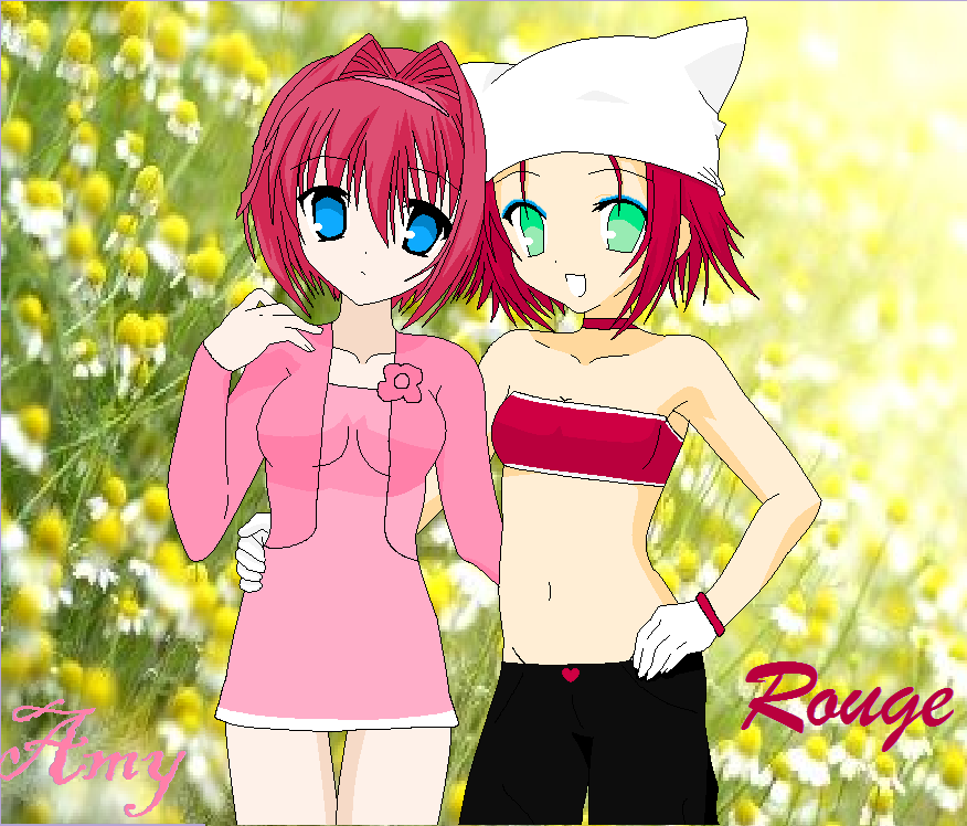 Amy and Rouge human